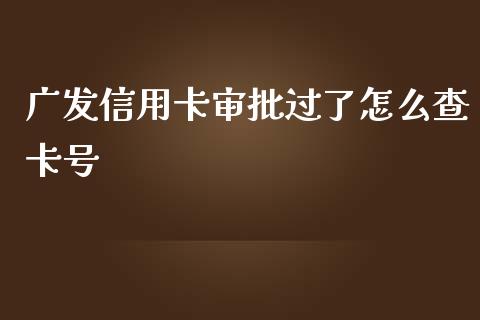 广发信用卡审批过了怎么查卡号_https://m.letulww.com_期货交易软件_第1张