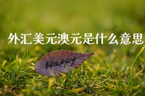 外汇美元澳元是什么意思_https://m.letulww.com_股指期货交易时间_第1张