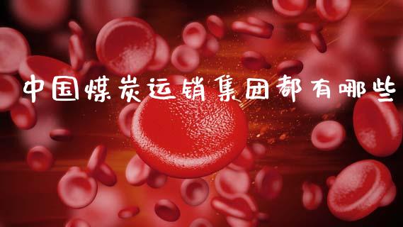 中国煤炭运销集团都有哪些_https://m.letulww.com_股指期货交易时间_第1张