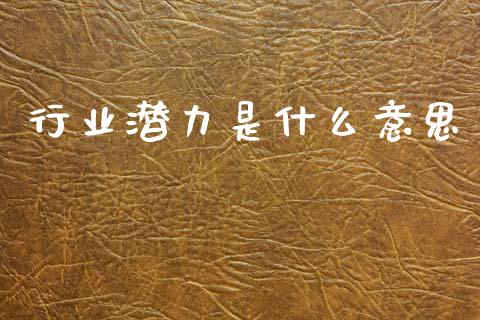行业潜力是什么意思_https://m.letulww.com_期货开户保证金_第1张