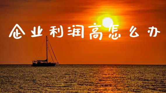 企业利润高怎么办_https://m.letulww.com_期货交易策略_第1张