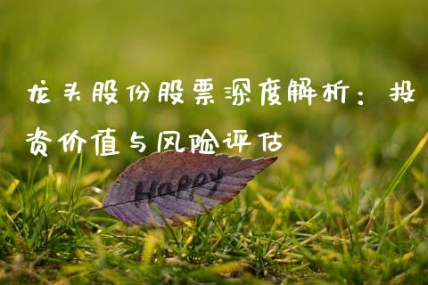 龙头股份股票深度解析：投资价值与风险评估_https://m.letulww.com_股指期货交易时间_第1张