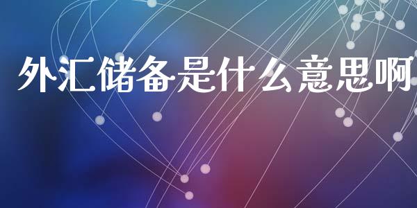 外汇储备是什么意思啊_https://m.letulww.com_股指期货交易时间_第1张