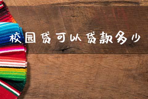 校园贷可以贷款多少_https://m.letulww.com_期货开户保证金_第1张