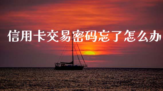 信用卡交易密码忘了怎么办_https://m.letulww.com_期货开户保证金_第1张