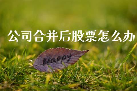 公司合并后股票怎么办_https://m.letulww.com_期货开户保证金_第1张