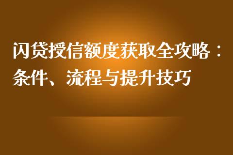 闪贷授信额度获取全攻略：条件、流程与提升技巧_https://m.letulww.com_期货交易策略_第1张