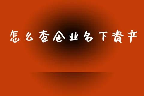 怎么查企业名下资产_https://m.letulww.com_期货交易软件_第1张