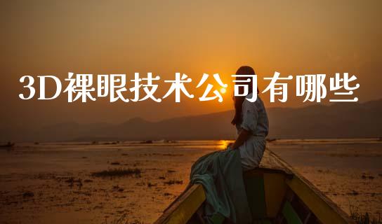 3D裸眼技术公司有哪些_https://m.letulww.com_期货开户保证金_第1张
