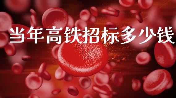 当年高铁招标多少钱_https://m.letulww.com_期货开户保证金_第1张