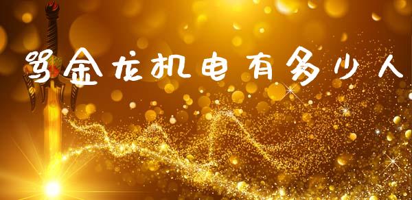 骂金龙机电有多少人_https://m.letulww.com_股指期货交易时间_第1张