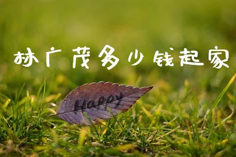 林广茂多少钱起家_https://m.letulww.com_股指期货交易时间_第1张