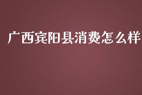 广西宾阳县消费怎么样_https://m.letulww.com_期货开户保证金_第1张