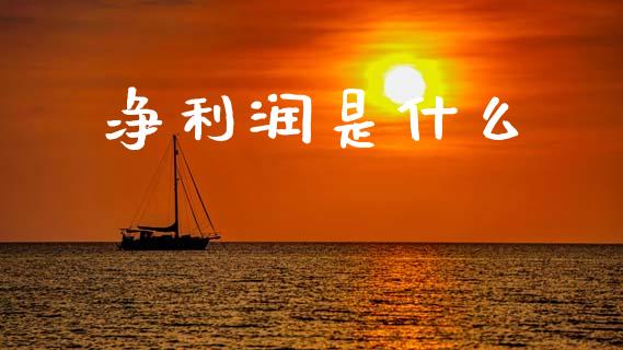 净利润是什么_https://m.letulww.com_期货交易策略_第1张