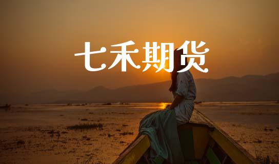 七禾期货_https://m.letulww.com_期货开户保证金_第1张