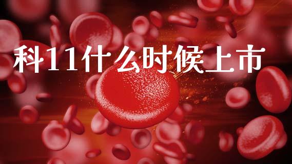 科11什么时候上市_https://m.letulww.com_期货交易软件_第1张