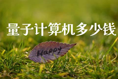 量子计算机多少钱_https://m.letulww.com_期货开户保证金_第1张