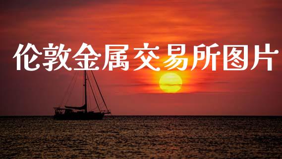 伦敦金属交易所图片_https://m.letulww.com_期货交易软件_第1张
