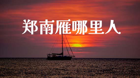 郑南雁哪里人_https://m.letulww.com_期货交易策略_第1张