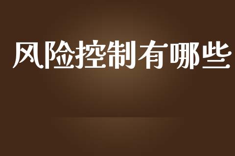风险控制有哪些_https://m.letulww.com_期货交易软件_第1张