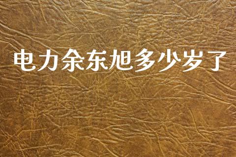 电力余东旭多少岁了_https://m.letulww.com_股指期货交易时间_第1张