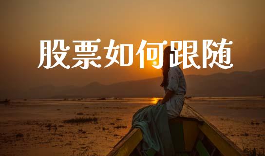 股票如何跟随_https://m.letulww.com_期货开户保证金_第1张