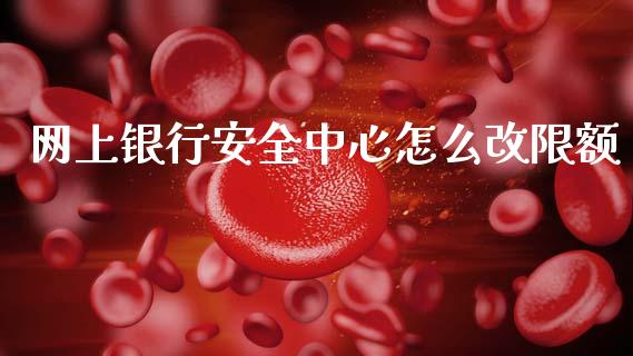 网上银行安全中心怎么改限额_https://m.letulww.com_股指期货交易时间_第1张