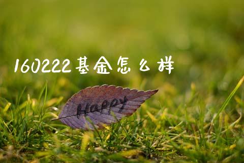 160222基金怎么样_https://m.letulww.com_期货开户保证金_第1张