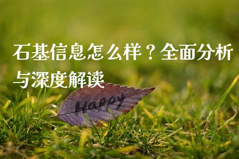 石基信息怎么样？全面分析与深度解读_https://m.letulww.com_期货开户保证金_第1张