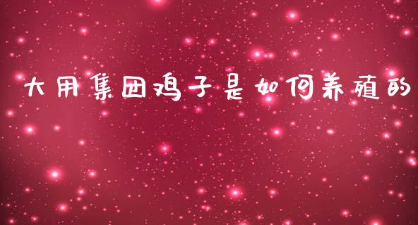 大用集团鸡子是如何养殖的_https://m.letulww.com_股指期货交易时间_第1张