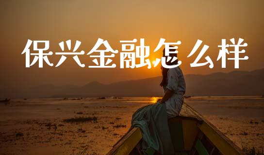 保兴金融怎么样_https://m.letulww.com_期货交易软件_第1张