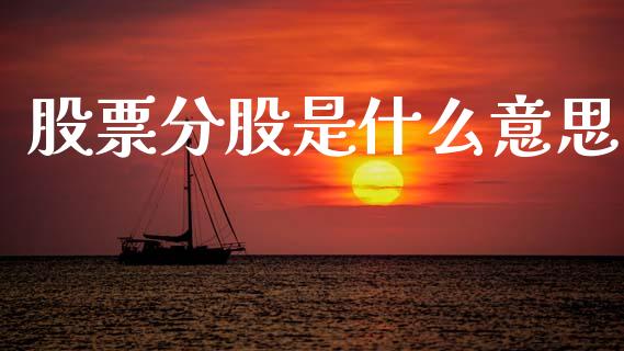 股票分股是什么意思_https://m.letulww.com_期货开户保证金_第1张