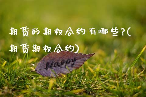 期货的期权合约有哪些?(期货期权合约)_https://m.letulww.com_期货开户保证金_第1张