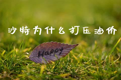 沙特为什么打压油价_https://m.letulww.com_期货交易策略_第1张