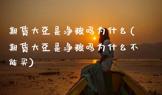 期货大豆是净粮吗为什么(期货大豆是净粮吗为什么不能买)_https://m.letulww.com_期货交易策略_第1张
