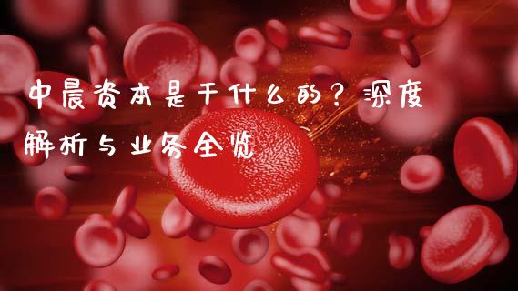 中晨资本是干什么的？深度解析与业务全览_https://m.letulww.com_期货交易策略_第1张