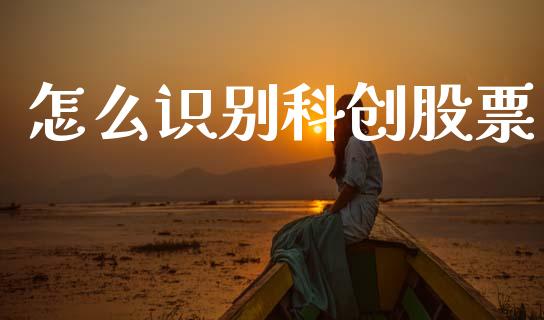 怎么识别科创股票_https://m.letulww.com_期货开户保证金_第1张