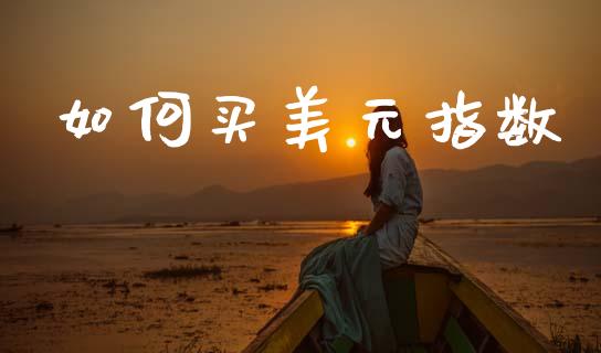 如何买美元指数_https://m.letulww.com_股指期货交易时间_第1张