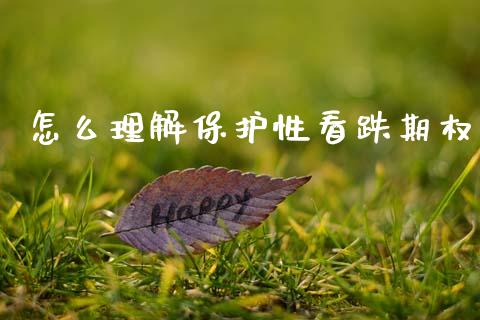 怎么理解保护性看跌期权_https://m.letulww.com_期货开户保证金_第1张