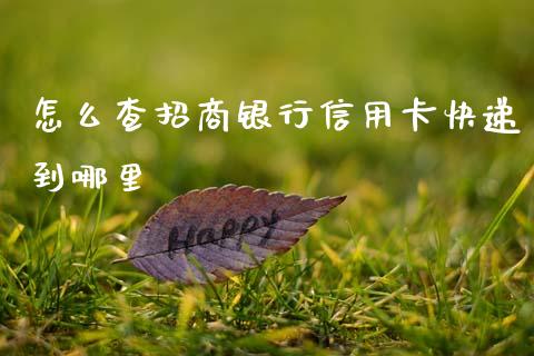 怎么查招商银行信用卡快递到哪里_https://m.letulww.com_期货开户保证金_第1张