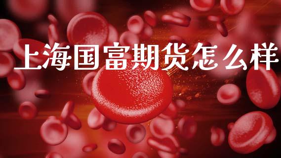 上海国富期货怎么样_https://m.letulww.com_期货开户保证金_第1张