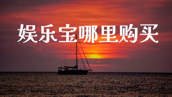 娱乐宝哪里购买_https://m.letulww.com_期货交易软件_第1张