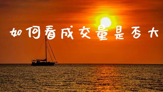 如何看成交量是否大_https://m.letulww.com_期货交易策略_第1张