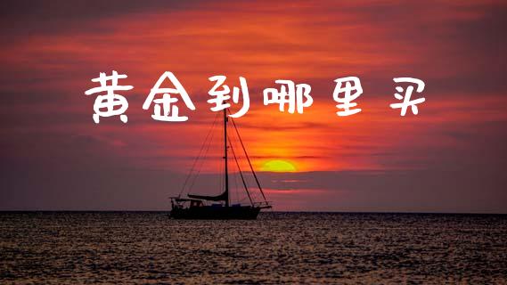 黄金到哪里买_https://m.letulww.com_期货交易软件_第1张