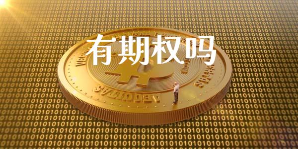 有期权吗_https://m.letulww.com_期货开户保证金_第1张