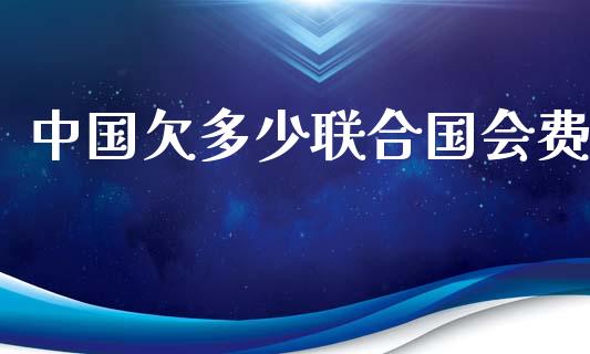 中国欠多少联合国会费_https://m.letulww.com_期货交易策略_第1张
