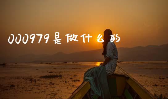 000979是做什么的_https://m.letulww.com_期货开户保证金_第1张