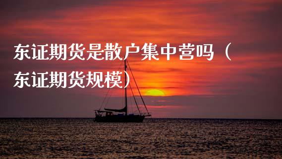 东证期货是散户集中营吗（东证期货规模）_https://m.letulww.com_期货交易软件_第1张