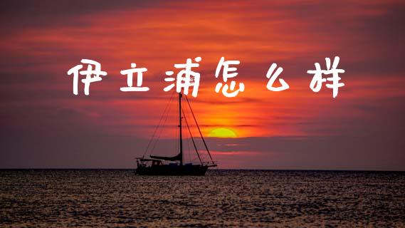 伊立浦怎么样_https://m.letulww.com_期货交易策略_第1张