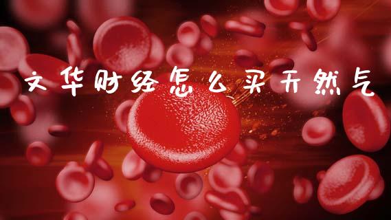 文华财经怎么买天然气_https://m.letulww.com_期货交易软件_第1张
